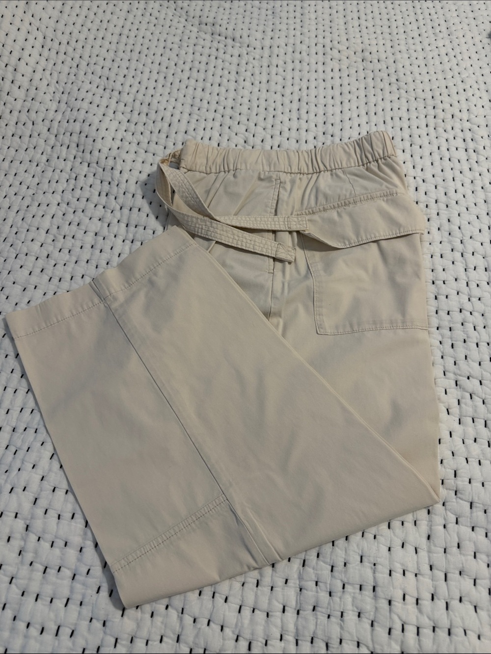 Banana Republic Wide-Leg Pants in Light Beige